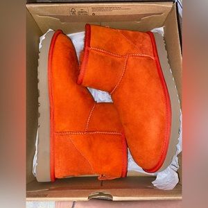 ugg minis brand new